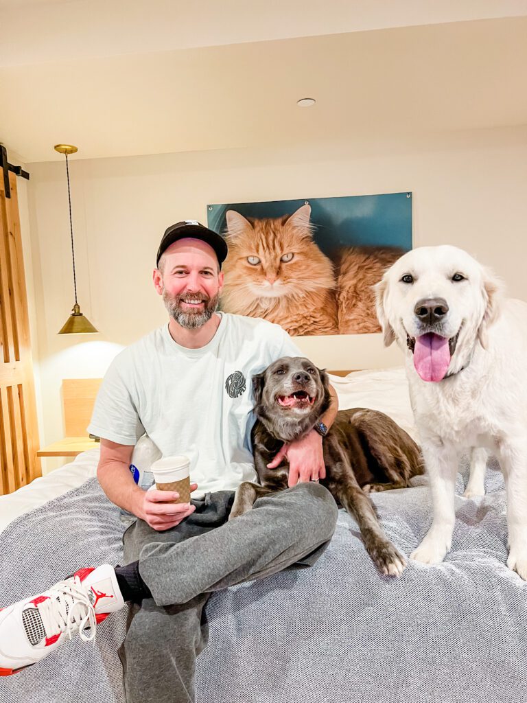 12 Expert Tips for Booking the Perfect Accommodation - Pet Friendly