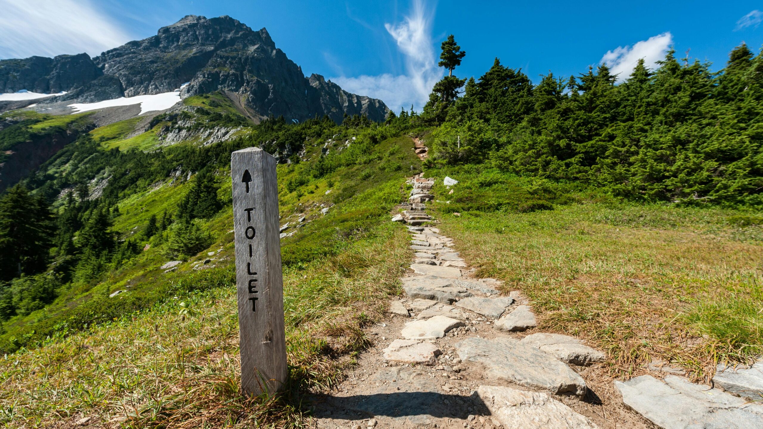 Sustainable Travel Tips That Actually Work - This way to the toilet