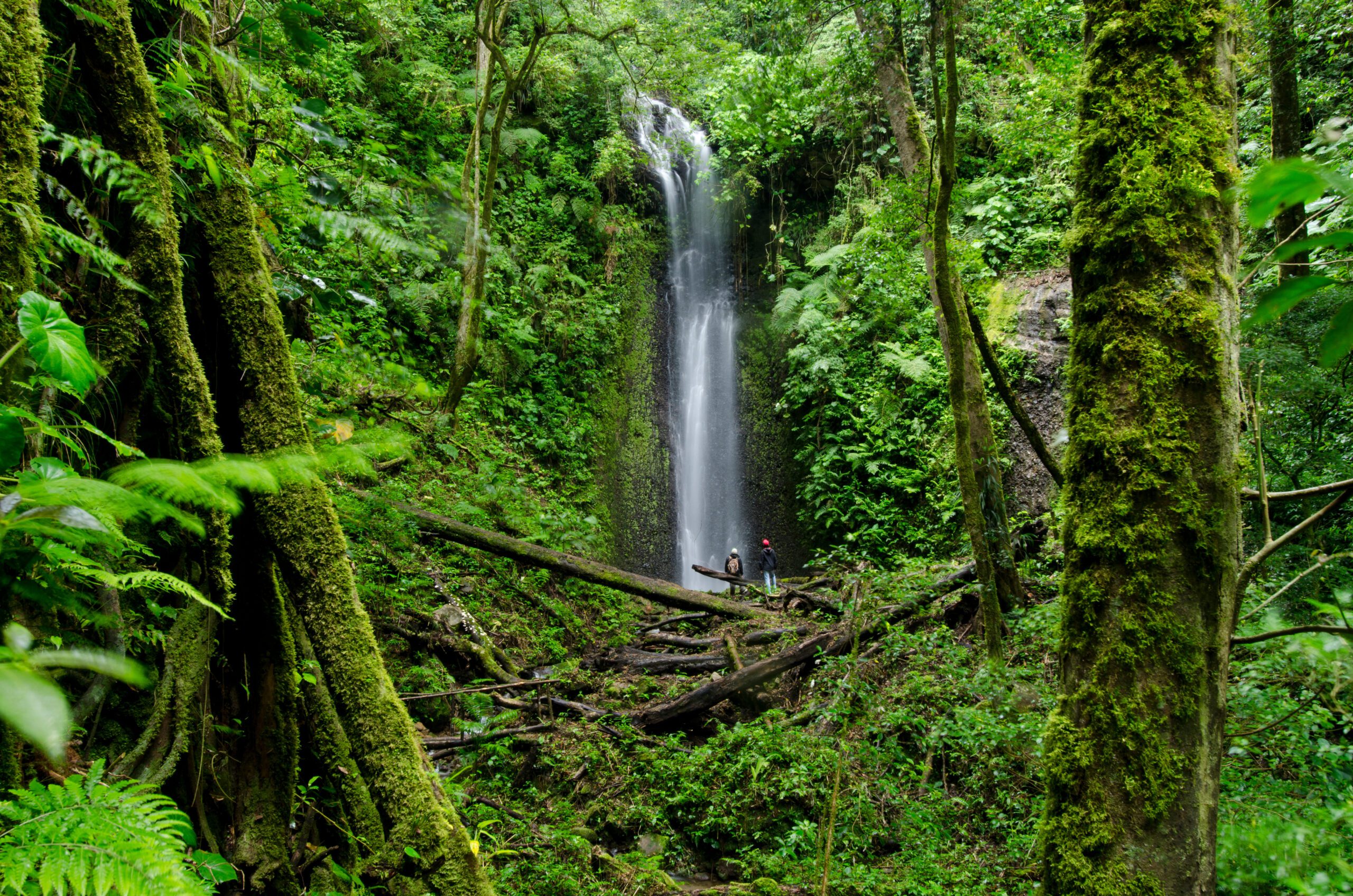 Visit Boquete Panama - Waterfall at cloud forest